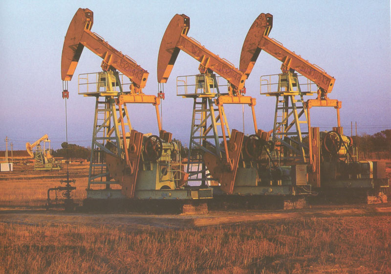 Settore petrolchimico